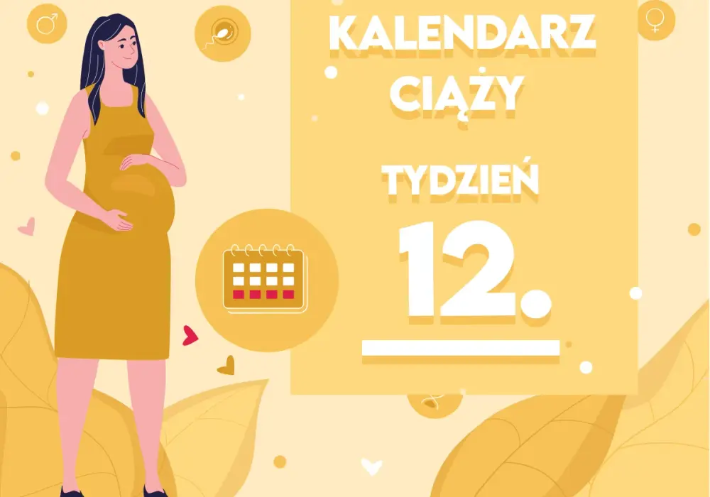 12. tydzień ciąży - jak wygląda płód i co widać na USG?