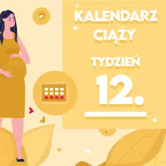 Kobieta w żółtej sukience, brzuch w 12 tygodniu ciąży. Kalendarz ciąży, jak wygląda dziecko.
