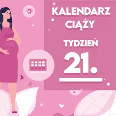 Ilustracja przedstawia kobietę w 21 tygodniu ciąży, z widocznym brzuszkiem. Obok niej kalendarz i napis "Kalendarz ciąży tydzień 21".
