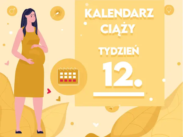12. tydzień ciąży - jak wygląda płód i co widać na USG?