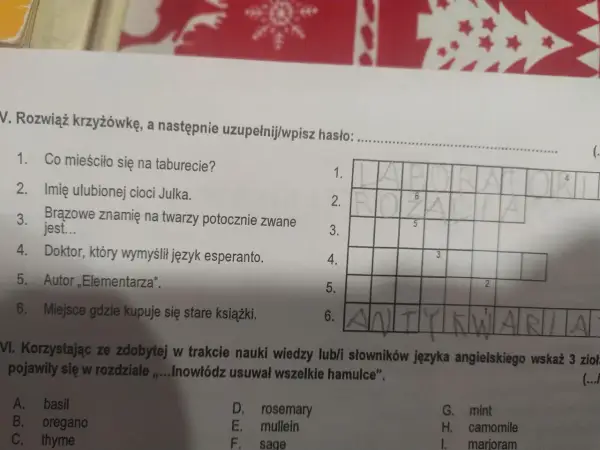 Rany Julek - Sprawdzian, pytania i odpowiedzi. O co zapyta nauczyciel?